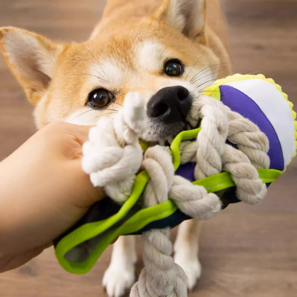 Pet Cotton Rope Slippers Dog Chew Squeaky Toys