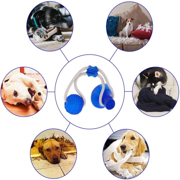 Suction Cup Dog Tug Toy